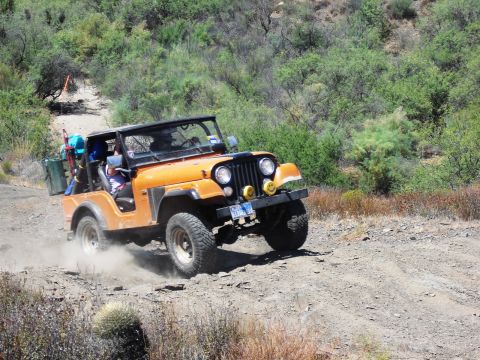 1986 Ford Bronco - Jeep CJ-7 navigates a dusty off-road trail with green foliage in the background.
