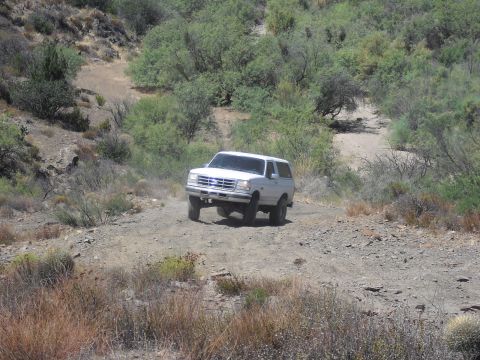1986 Ford Bronco - White Ford Bronco navigates a rough, dusty trail through a desert-like environment.