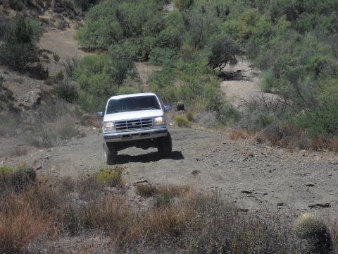 1986 Ford Bronco - A white Ford Bronco navigates a dusty, off-road trail surrounded by arid vegetation.