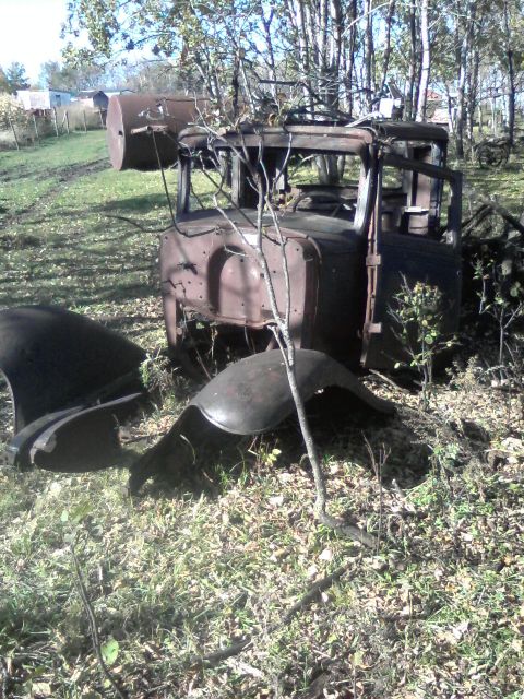 1978 Chevrolet C/K Pickup - Abandoned truck cab and fenders sit in a field, overgrown with weeds and branches.