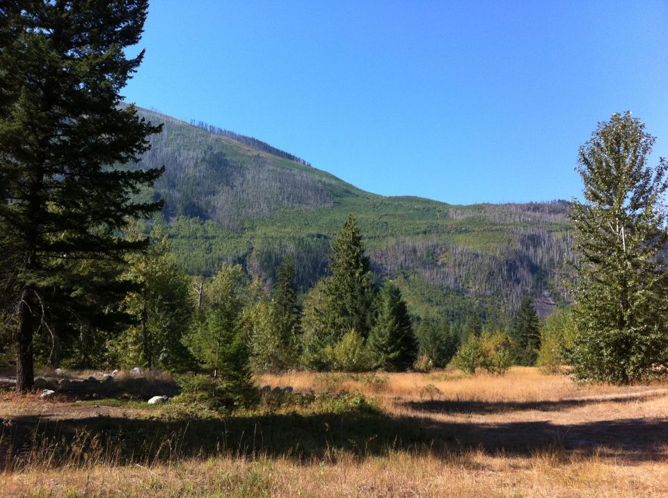 Mountain landscape with trees and dry grass in the foreground. Blue sky above