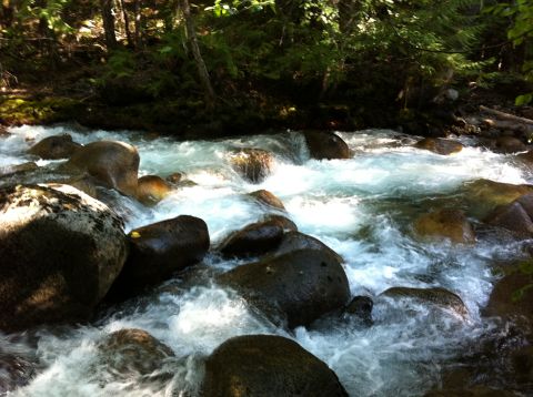 1990 Ford Bronco - A scenic view of a river with whitewater rapids flowing over boulders in a forest.