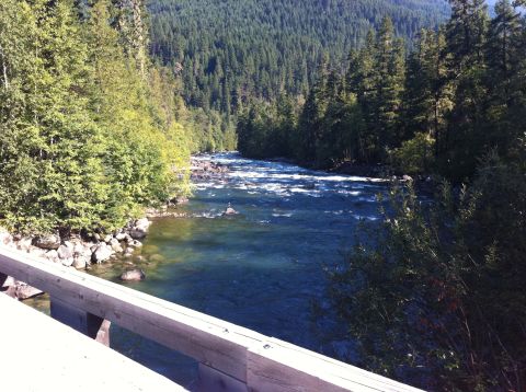1990 Ford Bronco - A wide river winds through a dense forest, with rocks visible in the water and trees lining the banks.