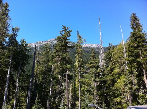1990 Ford Bronco - A scenic view of a mountain range surrounded by evergreen trees on a clear day.