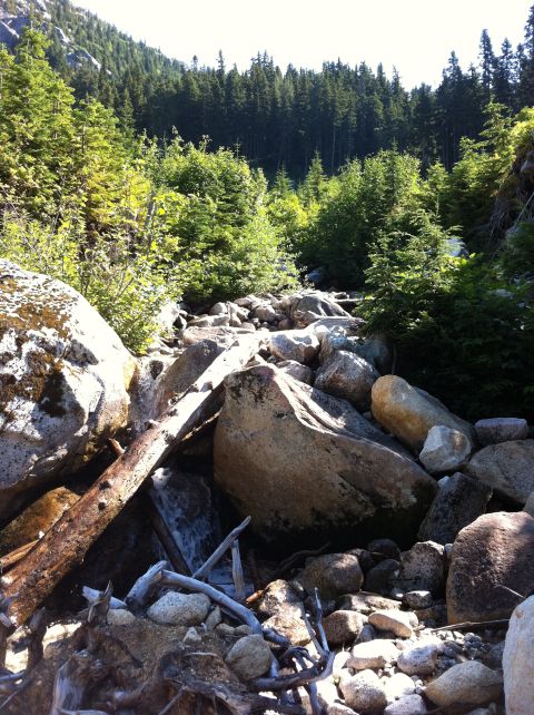 1990 Ford Bronco - A natural scene of a rocky stream bed surrounded by trees and large boulders.