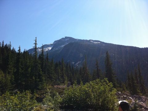 1990 Ford Bronco - A scenic view of a snow-capped mountain peak surrounded by dense pine forests under a bright blue sky.