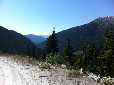 1990 Ford Bronco - Scenic mountain view with a dirt road, clear blue sky, and evergreen trees.