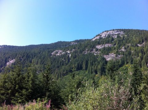 1990 Ford Bronco - A scenic view of a tree-covered mountain under a clear blue sky, with a watermark for Supermotors.net visible.
