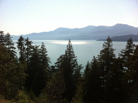 1990 Ford Bronco - Scenic view of a lake surrounded by trees and mountains under a hazy sky.