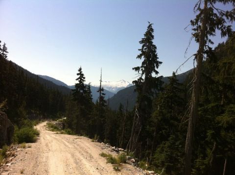 1990 Ford Bronco - A remote dirt road cuts through a dense forest, leading towards distant snow-capped mountains under a clear blue sky.