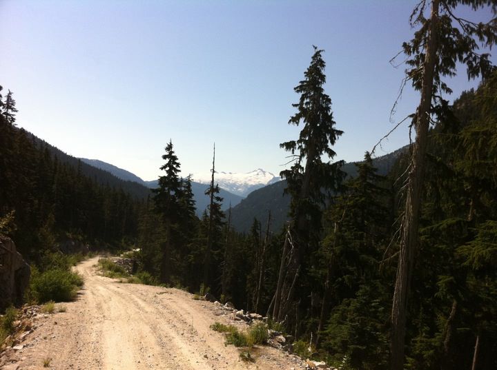 Dirt road winds through a forest with snow-capped mountains in the distance