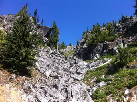 1990 Ford Bronco - A steep, rocky mountainside is covered in scattered trees and vegetation under a clear blue sky.