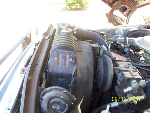 1979 Ford F-250 - Close-up view of the engine compartment, showing the radiator and fan assembly.
