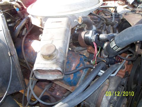 1979 Ford F-250 - Close-up view of an engine bay, showing various components and hoses.