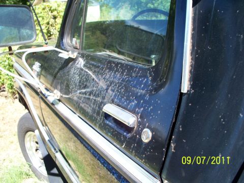 1979 Ford F-250 - A black pickup truck's side door is visible, showing signs of wear and tear.