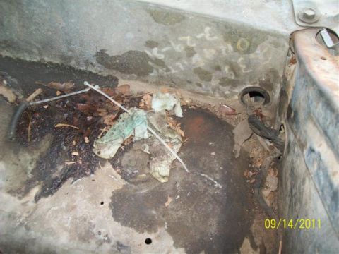 1979 Ford F-150 - Engine bay floor shows debris and some handwritten markings on the concrete-like surface.