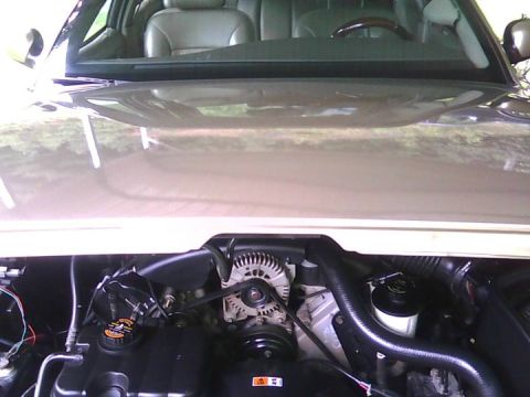 2000 Mercury Grand Marquis - The engine bay of a car is shown, with the alternator and various hoses clearly visible.