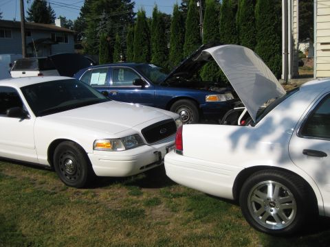 2003 Ford Crown Victoria - Three Ford Crown Victorias are parked outside, with two of them having their hoods open.
