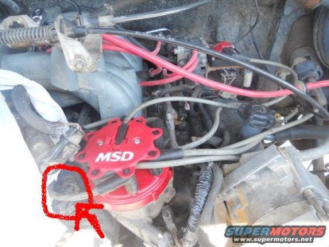 1991 Ford Bronco - Close-up view of an engine bay a red MSD distributor cap and various hoses and wires.