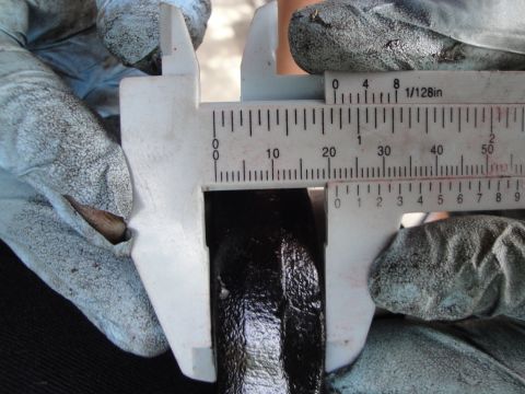 1995 Ford Taurus - A caliper measures a black automotive part, possibly a subframe component, with visible metric and imperial scales.