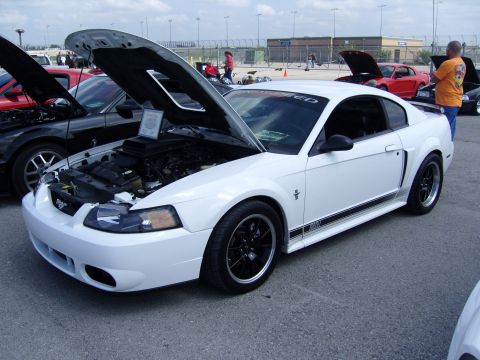 2007 Ford Mustang - A white Ford Mustang from the early 2000s is displayed with its hood open at a car show.