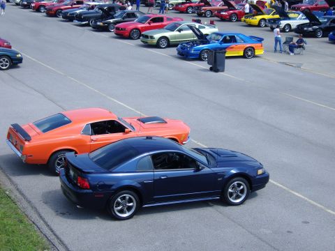2007 Ford Mustang - A dark blue 2007 Ford Mustang GT is parked at a car show with other vehicles.