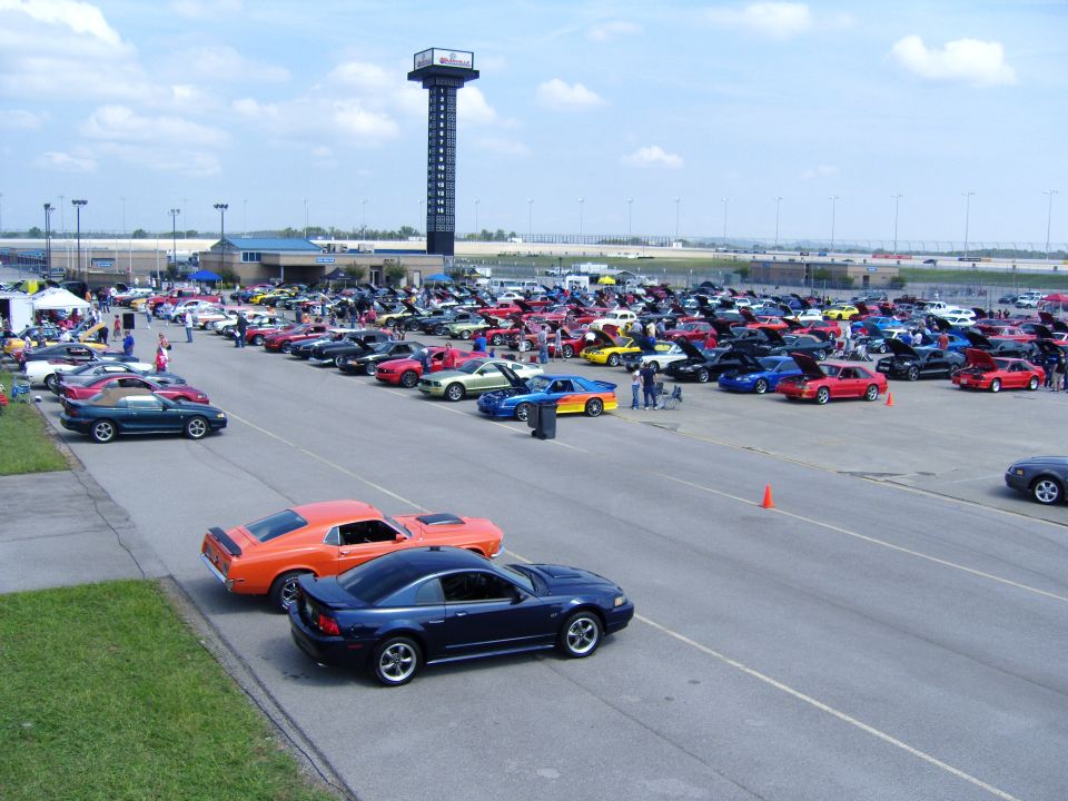 many Ford Mustangs parked in a lot, some with hoods up, near a tall tower