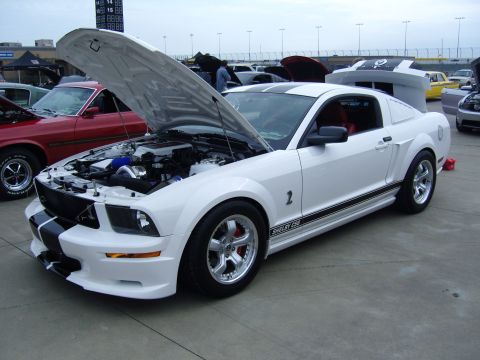 2007 Ford Mustang - A white Shelby GT500 Mustang is displayed with its hood open, revealing the engine bay and custom modifications.