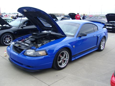 2007 Ford Mustang - Blue 2007 Ford Mustang coupe at a car show, hood and trunk open.