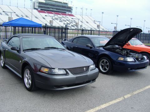 2007 Ford Mustang - Several Ford Mustangs are lined up in front of a grandstand at a racetrack.