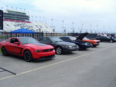 2007 Ford Mustang - Several Ford Mustangs are lined up in front of a grandstand at a racetrack.