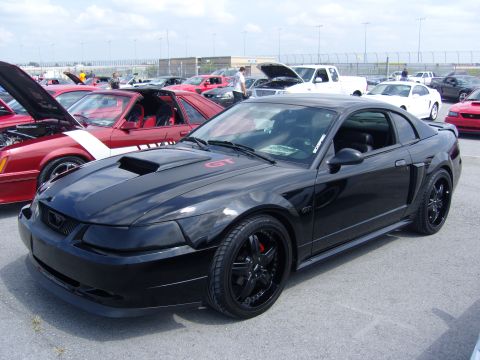 2007 Ford Mustang - Black 2007 Ford Mustang GT at a car show, with other cars in the background.