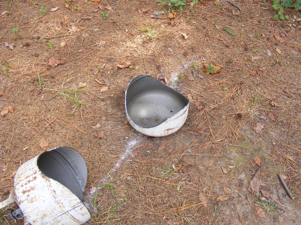 two white metal helmet halves lying on the ground in pine needles