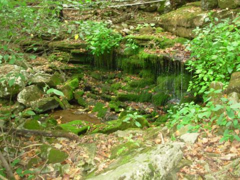 1983 Ford Bronco - This is the most picturesque waterfall at Spring Cave, and it's ~20 inches.