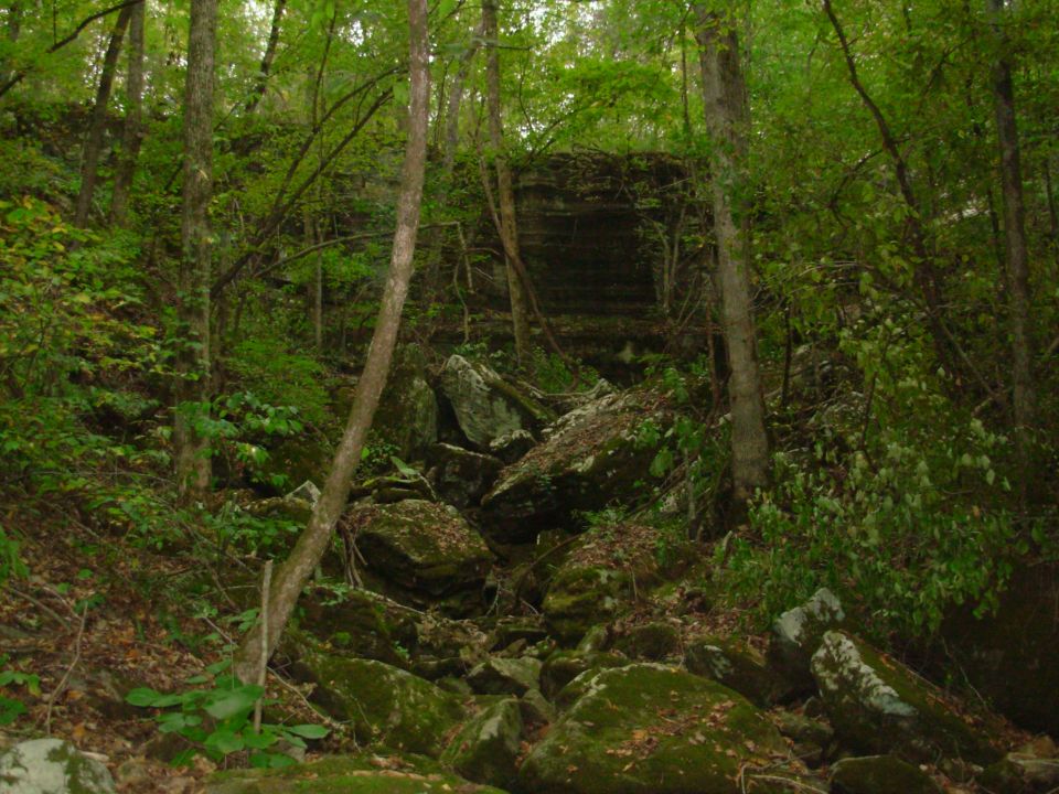 After a LOT of winding dusty trails, we found Rock Wall near the canebrake.  This pic doesn't do it justice - it's about 40 feet tall; the upper 20 being a sheer face impossible for even the biggest rock buggies to drive or winch up.