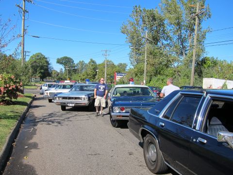 1991 Ford LTD Crown Victoria - man in shorts stands beside a row of vintage sedans parked along a tree-lined street under a clear blue sky.