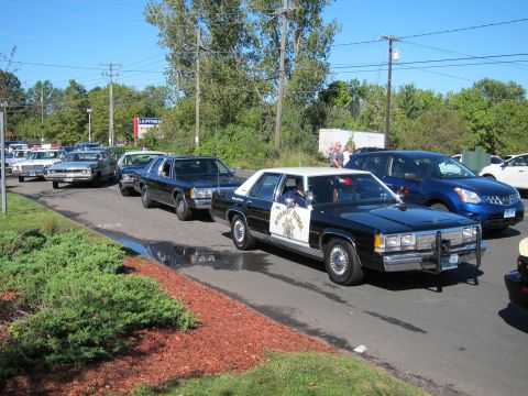 1991 Ford LTD Crown Victoria - Several black and white police sedans are parked in a line along a curb next to mulched shrub beds under a blue sky.