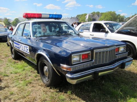 1991 Ford LTD Crown Victoria - dark blue Police-marked sedan with a roof light bar sits on grass, a person visible in the driver's seat at a car show.