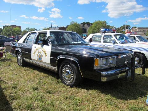 1991 Ford LTD Crown Victoria - black-and-white Highway Patrol sedan with a star door emblem, roof light bar and push bumper parked on grass.