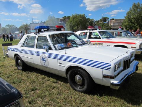 1991 Ford LTD Crown Victoria - white Police sedan with blue side stripes, a palm-tree door emblem and roof light bar parked on grass at a show.