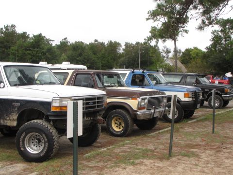 1979 Ford Bronco - Several Ford Broncos and F-Series trucks are lined up, including a brown and yellow 1979 Bronco.