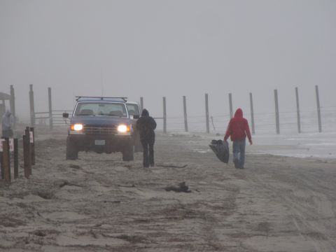 1979 Ford Bronco - A blue SUV drives on a sandy beach during foggy weather, with two individuals walking ahead.