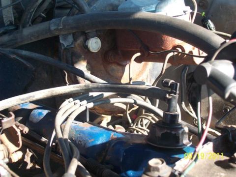 1979 Ford F-150 - A close-up view of an engine bay, showing various hoses, wires, and engine components.