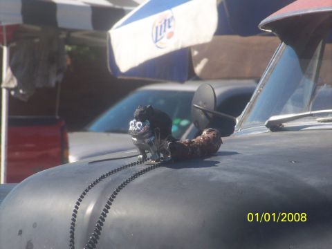 1989 Ford Bronco - A quirky hood ornament a black cat with googly eyes and a beaded necklace adorns the hood of a vehicle.