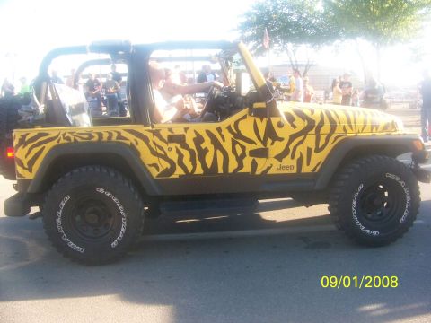 1989 Ford Bronco - Jeep Wrangler with custom tiger stripe paint job, seen on 09/01/2008.