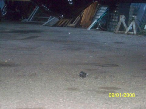 1989 Ford Bronco - The photo shows a small object on the ground with a date stamp of September 1, 2008.