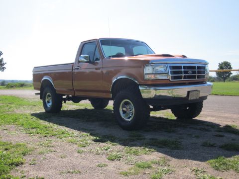 1995 Ford F-150 photo