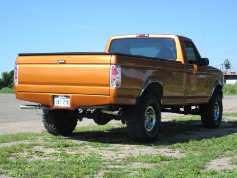 1995 Ford F-150 photo
