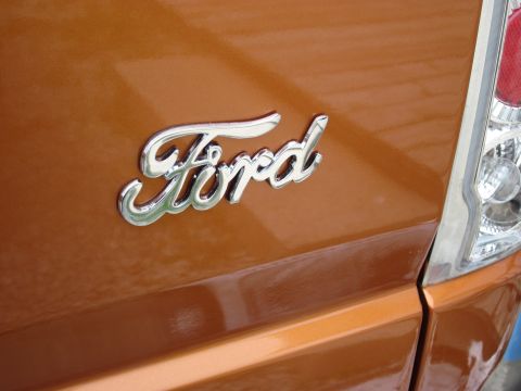 1995 Ford F-150 photo