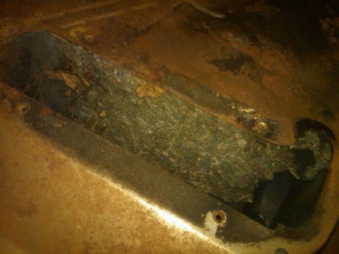 1979 Ford Bronco - Interior view of a vehicle's floor showing rust and accumulated debris.